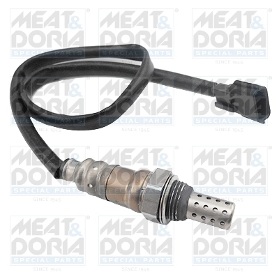 Oxygen Sensor